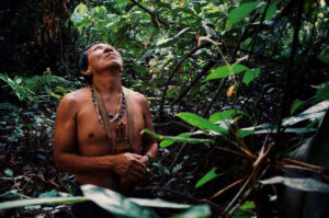 Amazonian in the rainforest