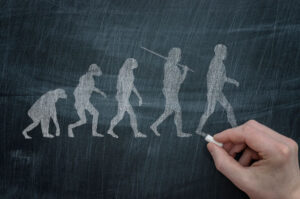 Darwin's evolution on chalkboard
