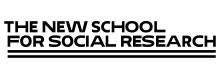 new school social research