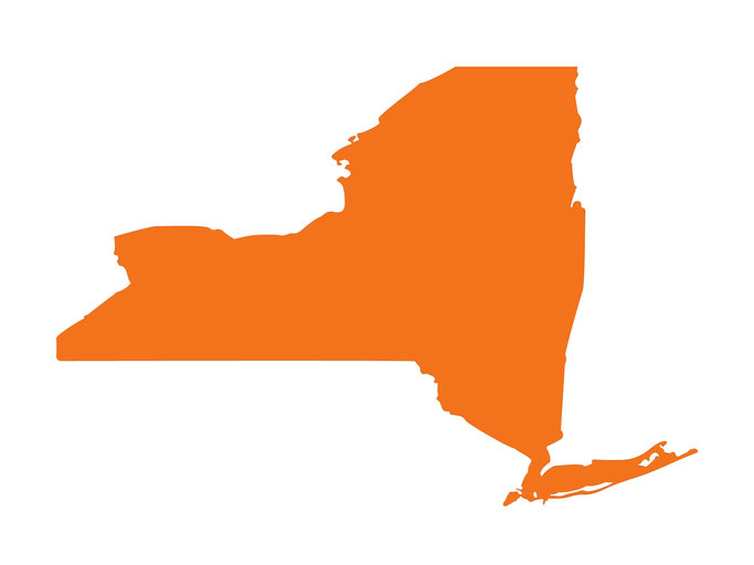 is new york liberal state