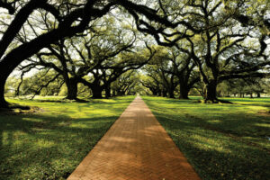 oak road south carolina