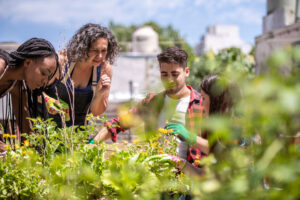 Urban gardening in Rhode Island