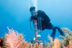 Marine research as scuba diver takes measurements undersea 